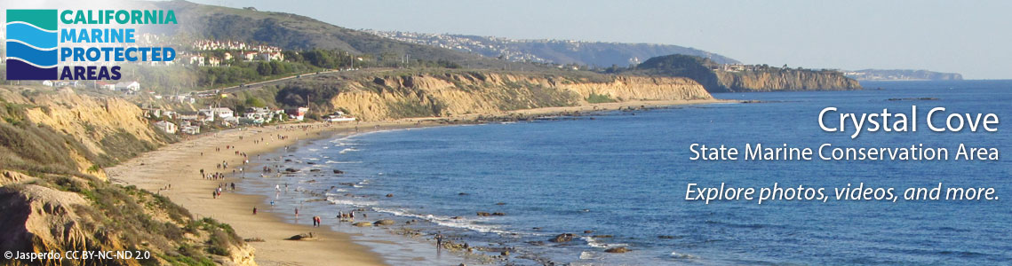 Crystal Cove SMCA Banner Image