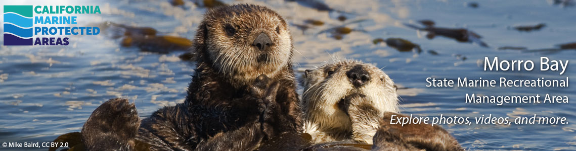 Morro Bay SMRMA Banner Image