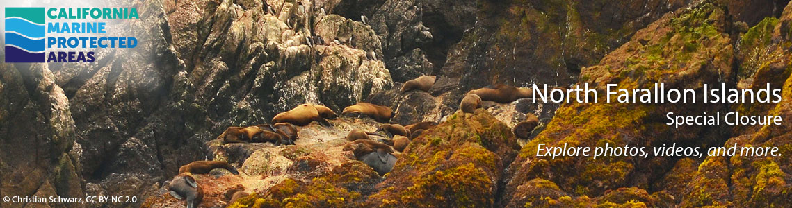 Farallon Islands SC Banner Image