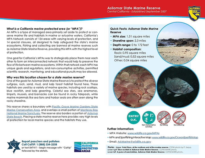 MPA fact sheet - click to enlarge in new tab