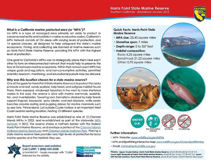 MPA fact sheet - click to enlarge in new tab