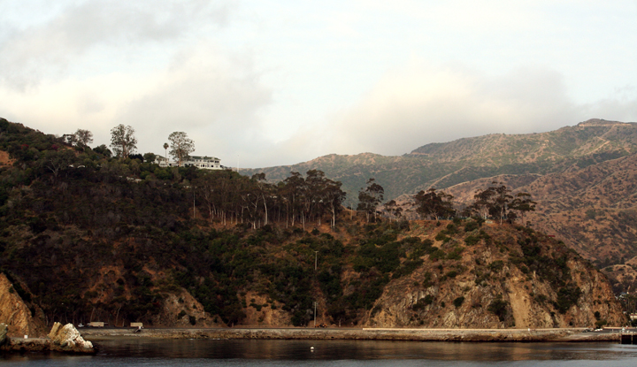 steep wooded hillsides form a cove around calm water