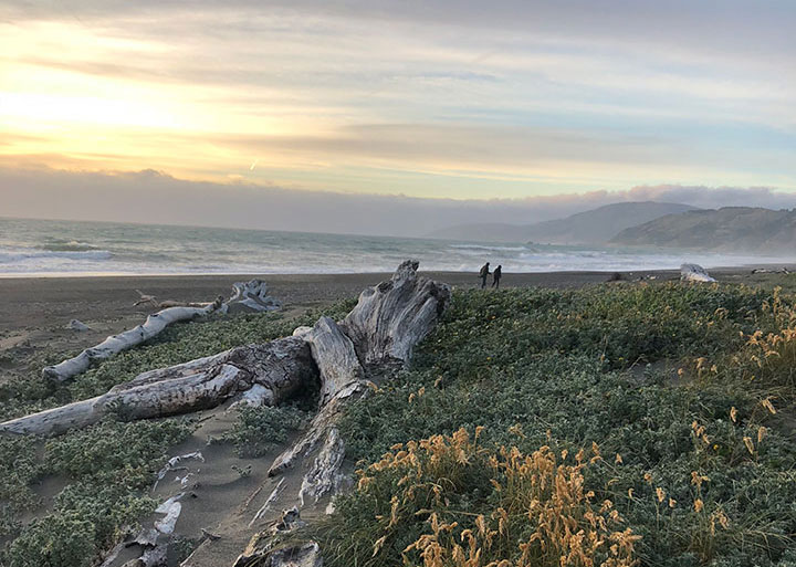 gray and golden skies meet jagged coastline with sparse vegetation along sandy beaches