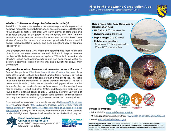 MPA fact sheet - click to enlarge in new tab