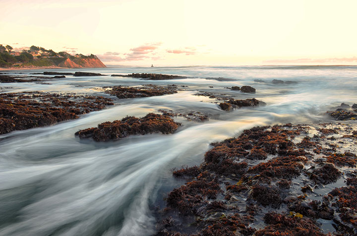 water flows across algae covered tidepool rocks