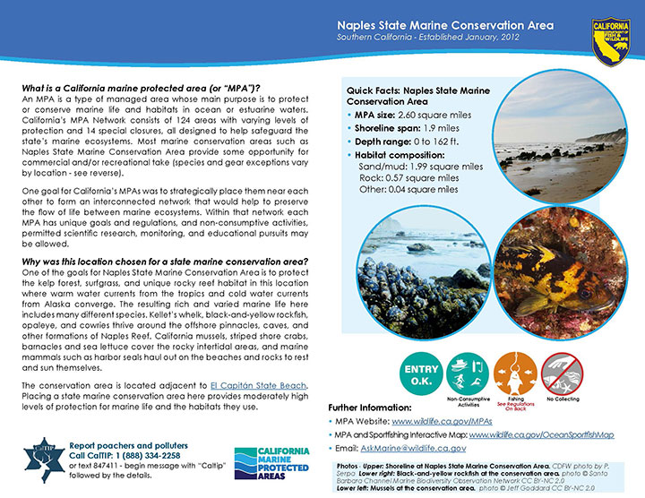 MPA fact sheet - click to enlarge in new tab