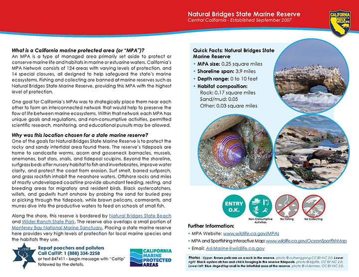 MPA fact sheet - click to enlarge in new tab