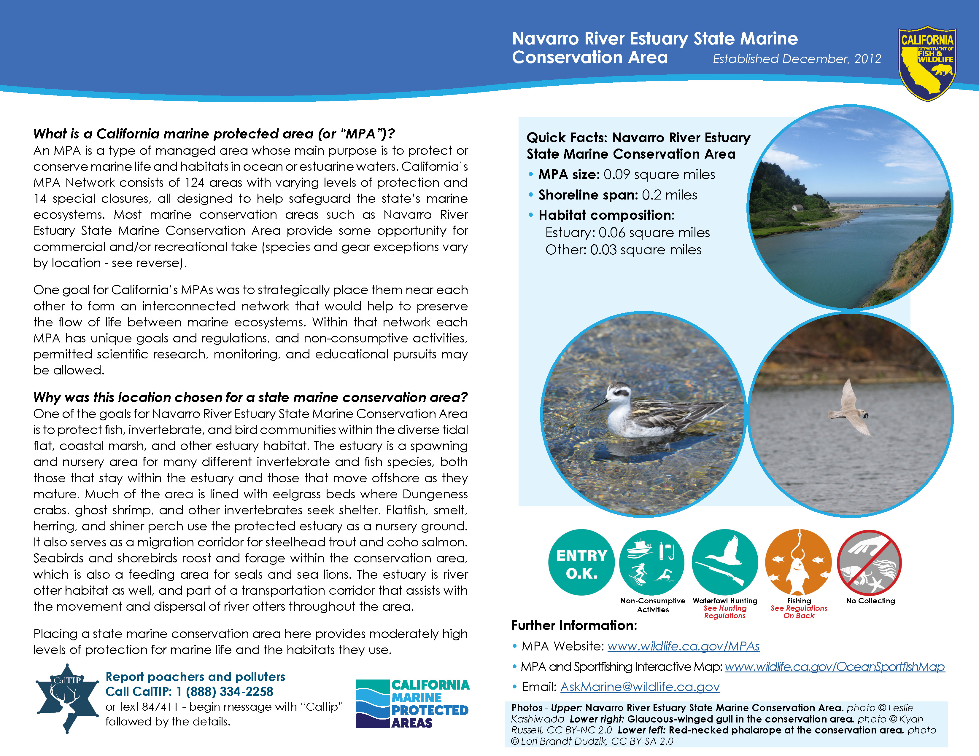 MPA fact sheet - click to enlarge in new tab