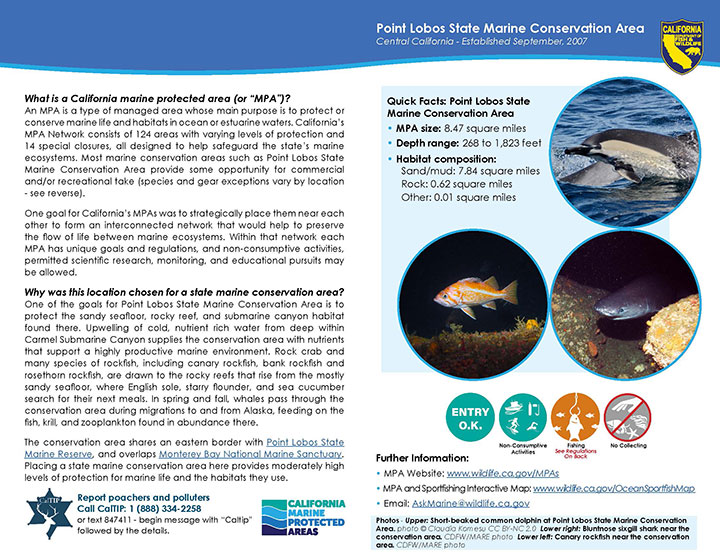 MPA fact sheet - click to enlarge in new tab