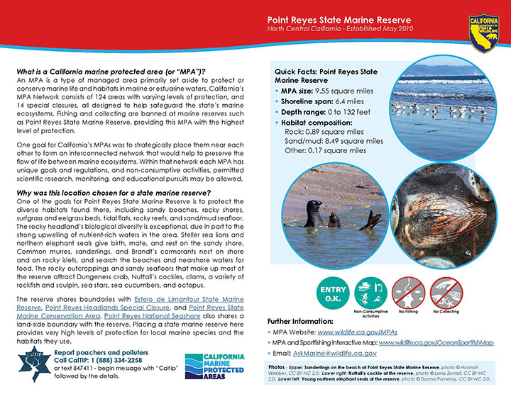 MPA fact sheet - click to enlarge in new tab