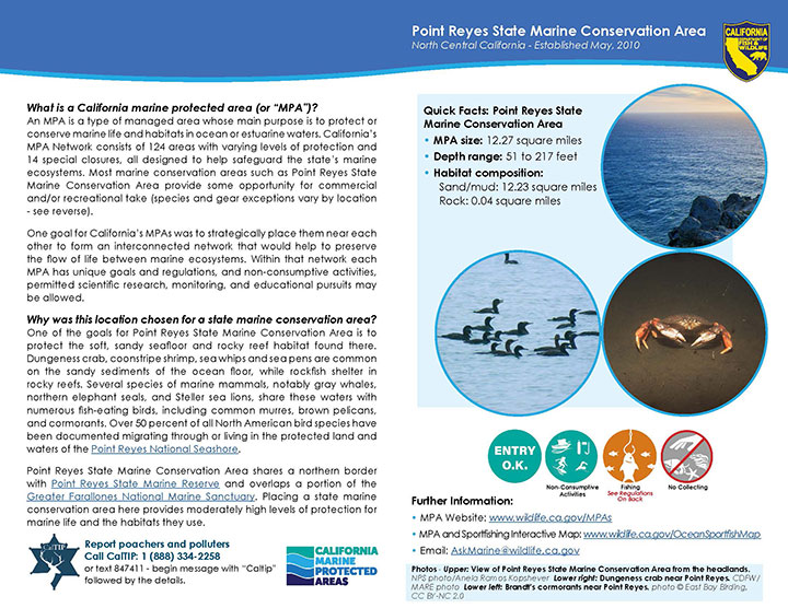 MPA fact sheet - click to enlarge in new tab