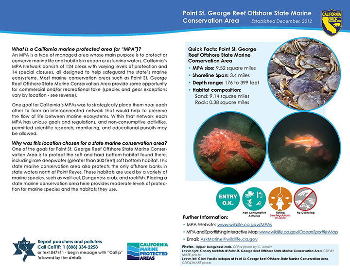 MPA fact sheet - click to enlarge in new tab