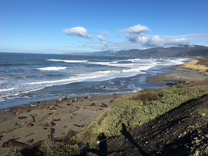 wet driftwood dots beach in foreground, coastline of forested hills curves left as it extends to horizon