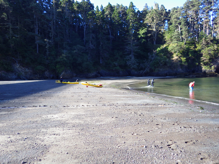 recreational divers and kayakers at a creek's edge