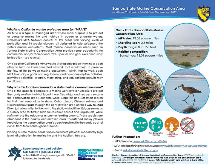 MPA fact sheet - click to enlarge in new tab