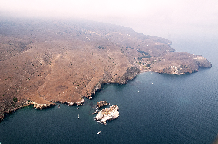 aerial view of boats around nearshore island
