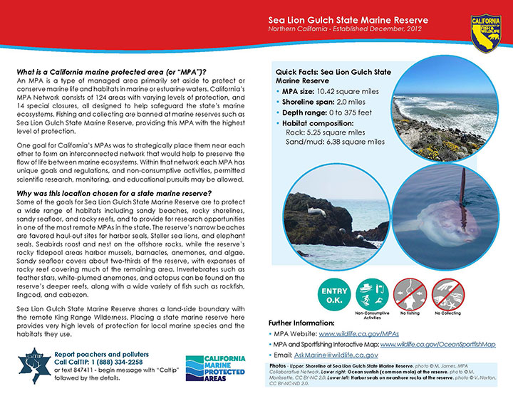 MPA fact sheet - click to enlarge in new tab