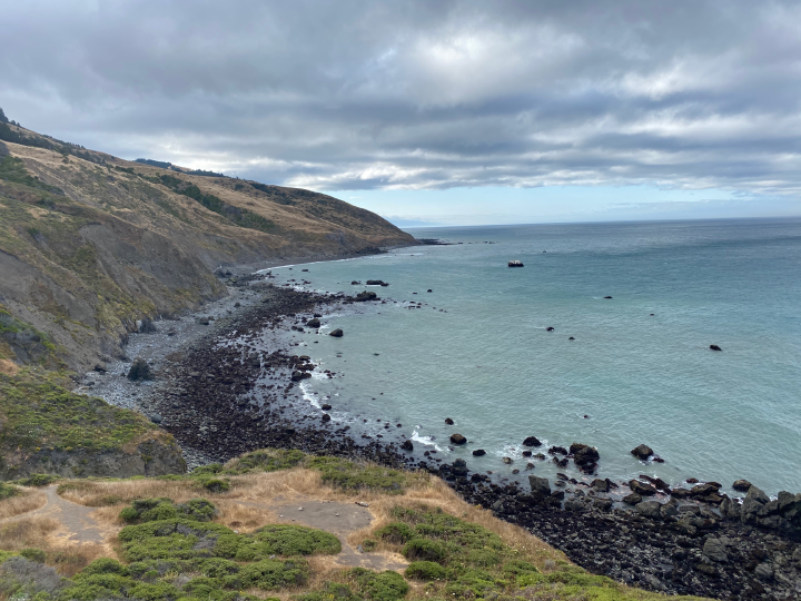 hillside descending to rocky ocean shoreline