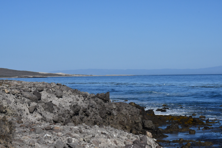 rocky ocean shoreline