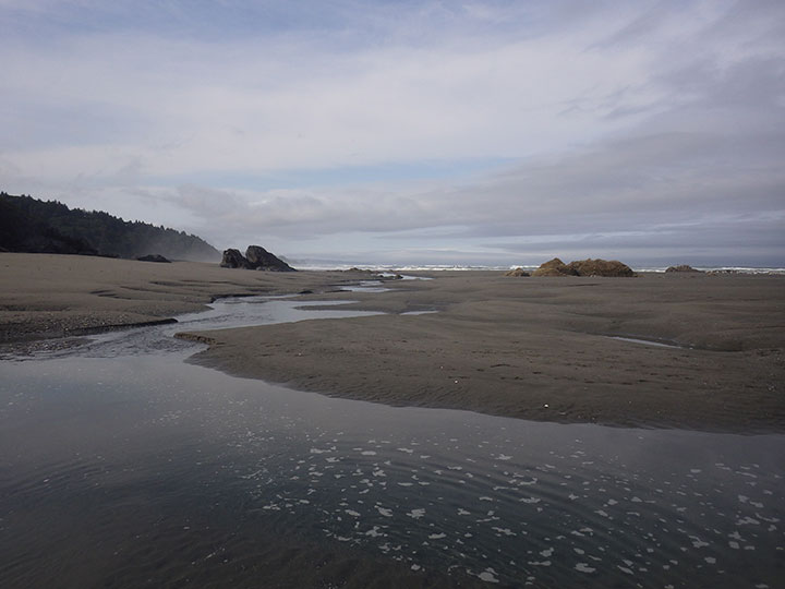 seawater cuts a stream over a flat sand beach