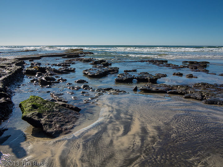 exposed reef and ocean surf beyond