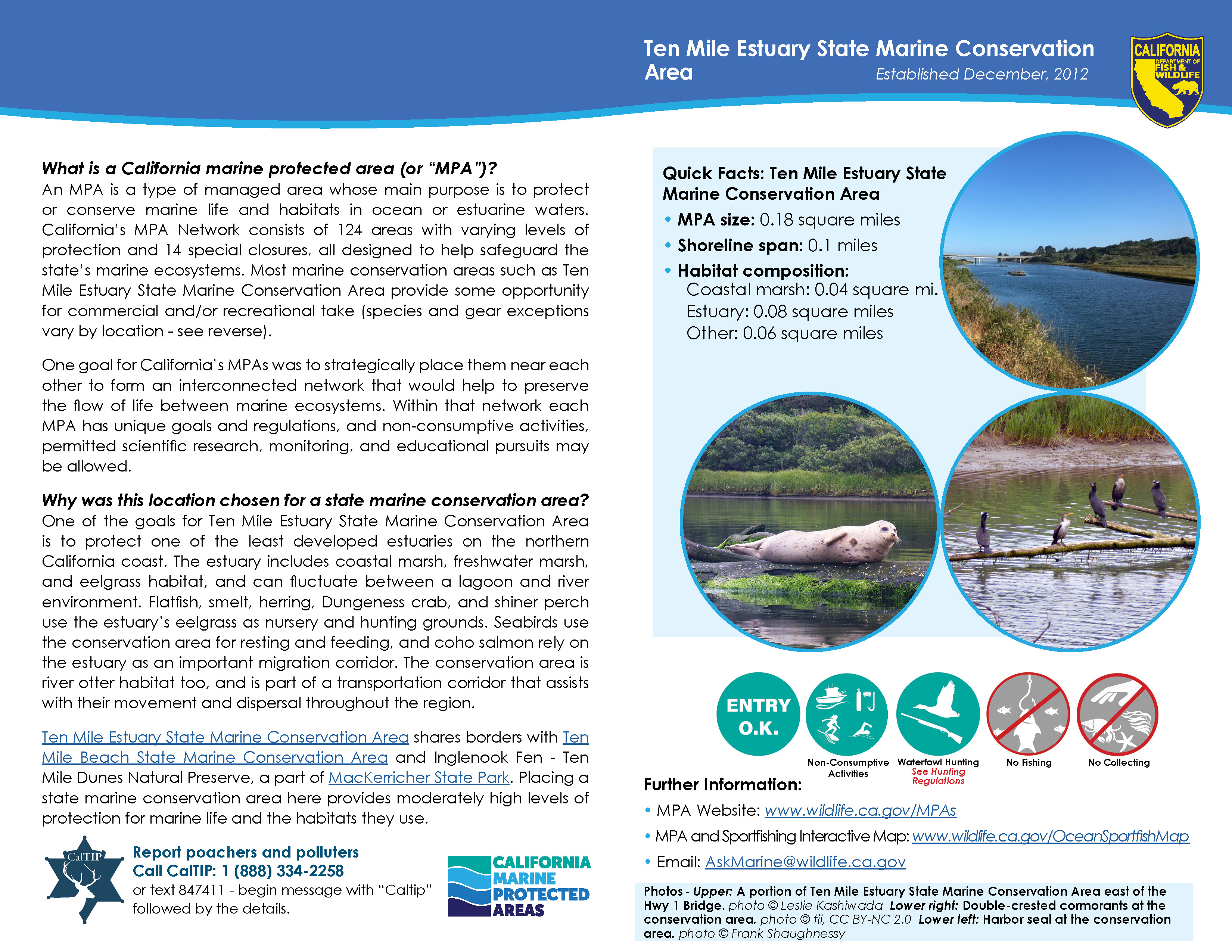 MPA fact sheet - click to enlarge in new tab