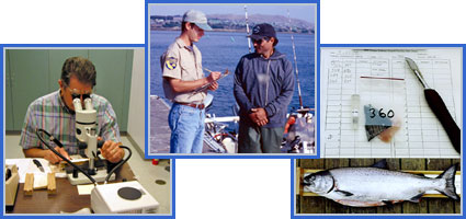 Ocean Salmon Project (OSP) Ocean Salmon Project (OSP)