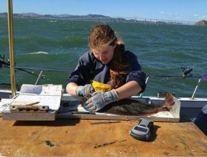 Environmental Scientist Kristine Lesyna examines a California halibut. Photo credit: Angler James Garvey.