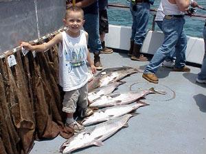 A young angler standing on a boat with several white seabass on the deck