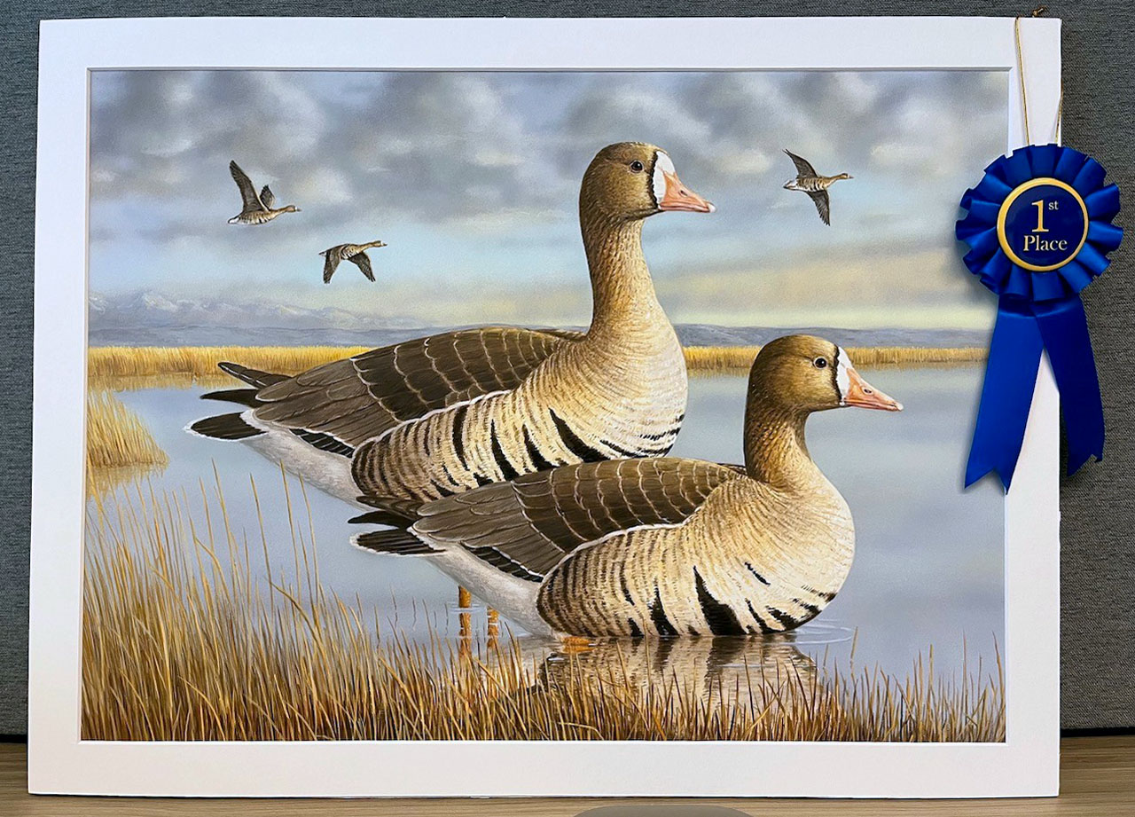 Indiana Artist Wins 2026 California Duck Stamp Art Contest