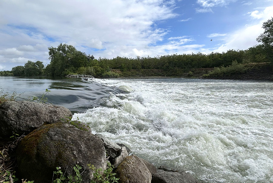 The Feather River flows near Sunset Weir in Sutter County. Photo credit: WCB staff