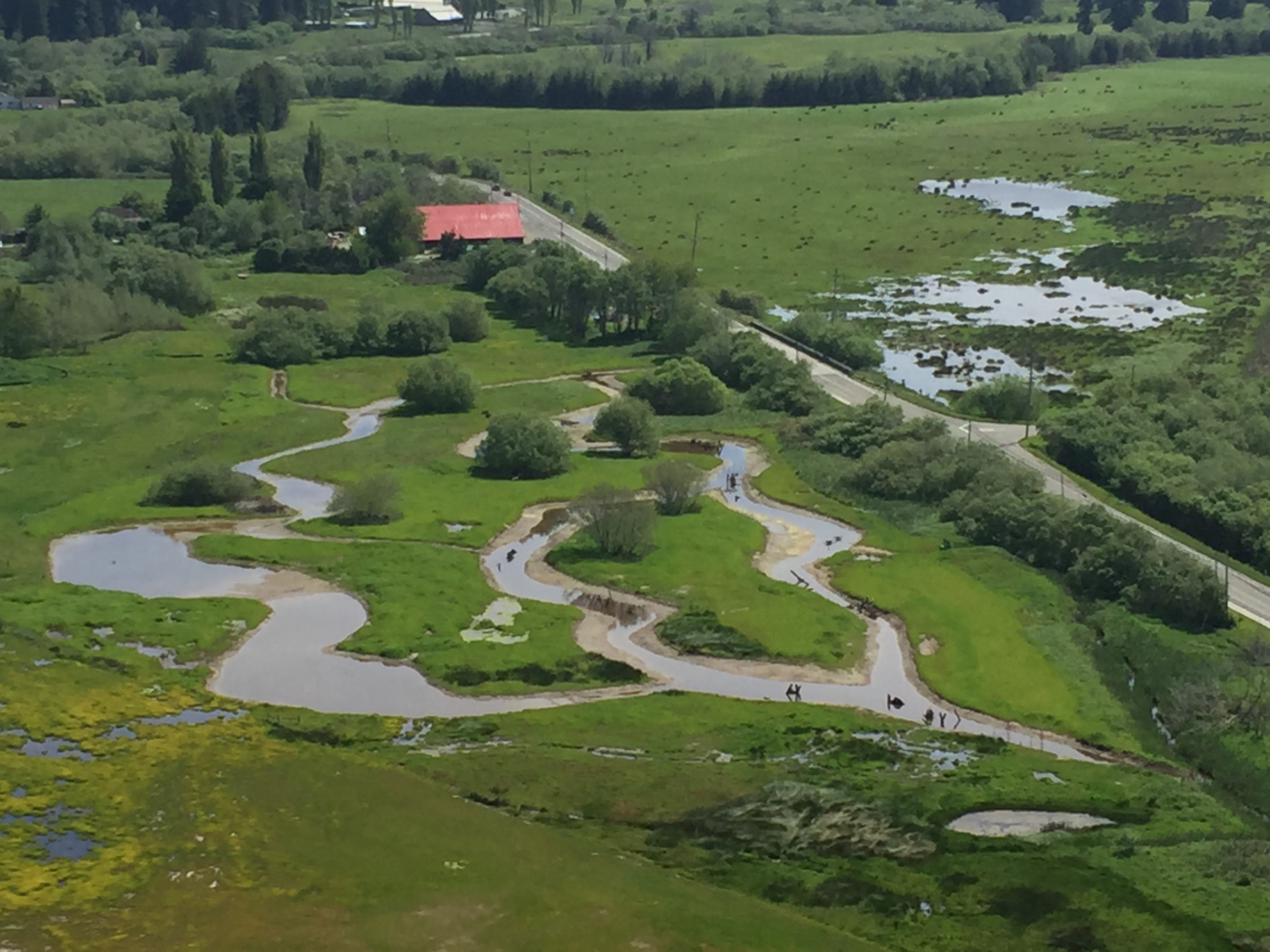 Wood_Creek rerouted into a natural channel. Photo courtesy of Northcoast Regional Land Trust .jpg