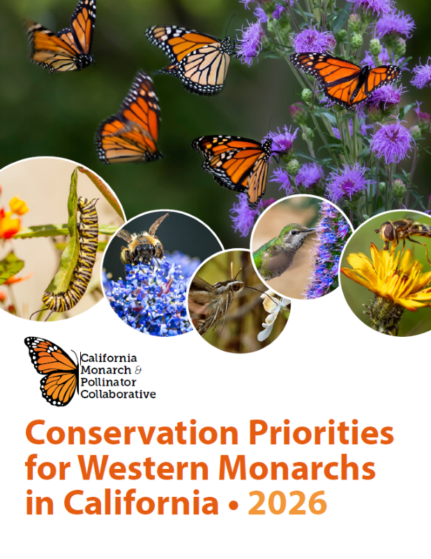 Report cover with monarch butterflies