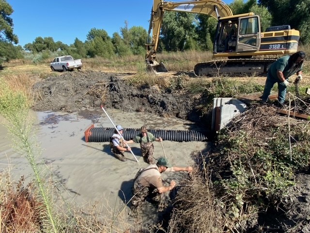 workers and a backhoe installing a Beaver Back Saver device
