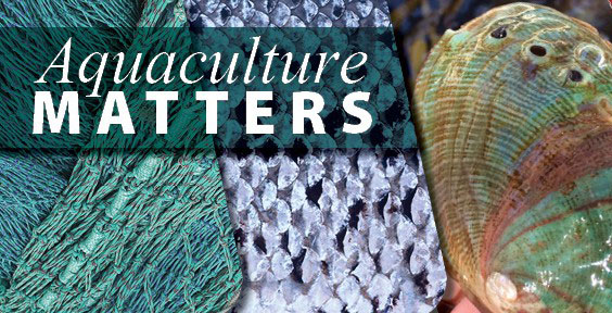 Aquaculture Matters banner