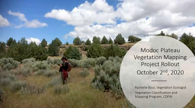 thumbnail from Modoc Plateau Vegetation Project training video; link opens in new window