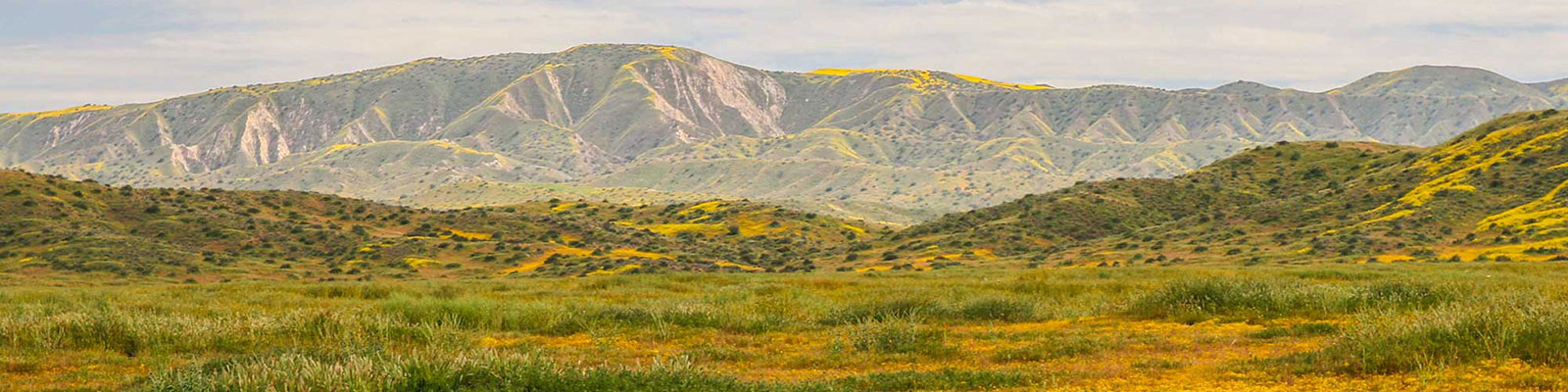 mountain range