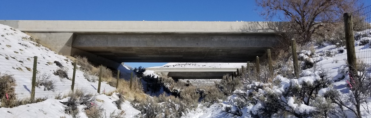 wildlife underpass