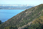 view of coastal hills