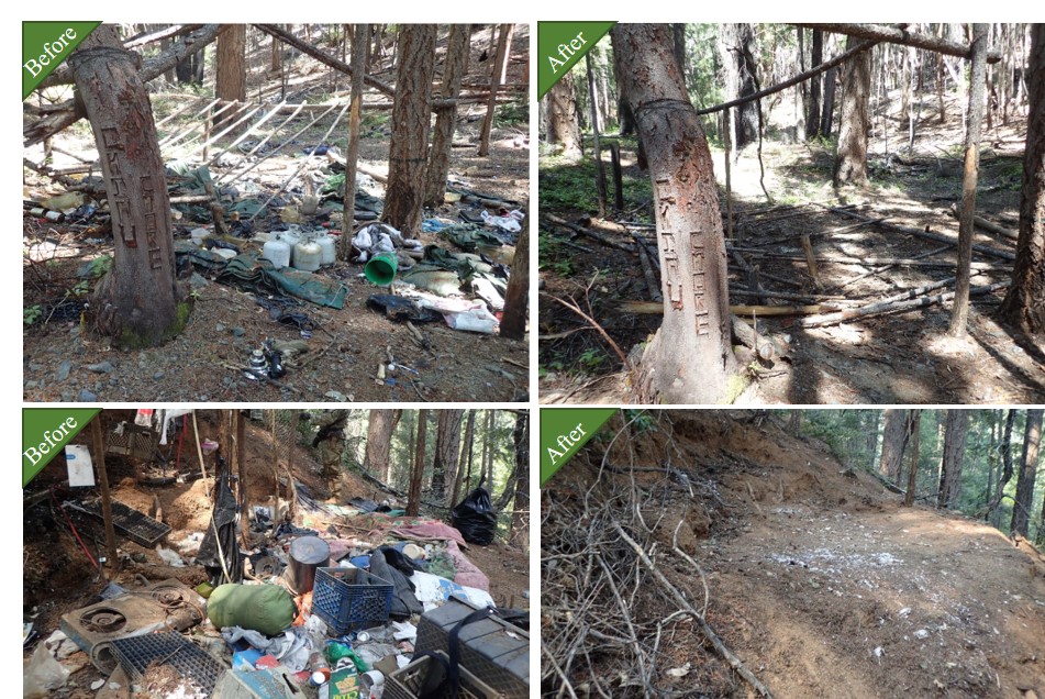 Top and bottom left images are two examples of trash and debris left at an illegal trespass grow. Top and bottom right show the two previously trashed sites, free of debris and garbage. 
