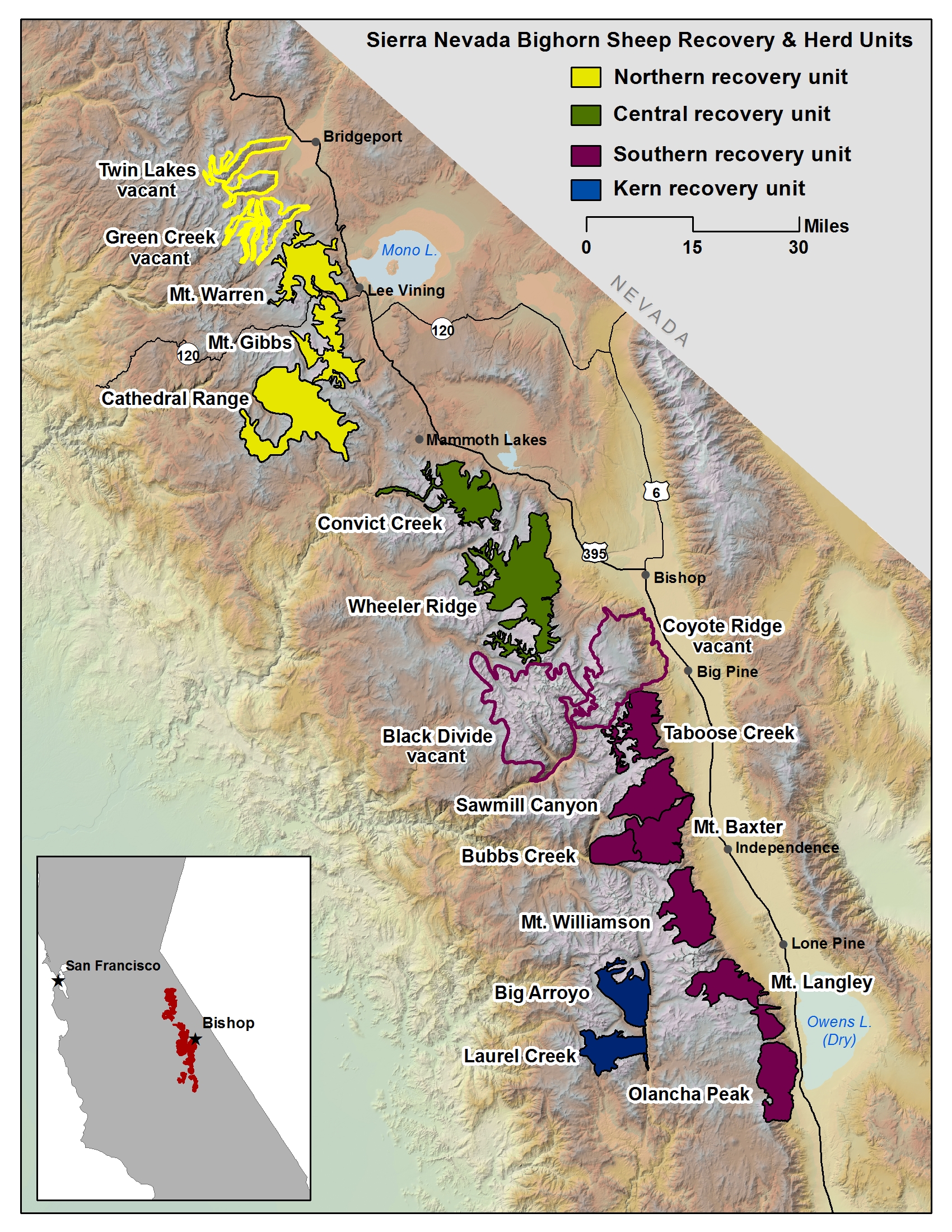 Bighorn Sheep Distribution in Sierra Nevada Mountains click to view in new window