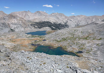 Summer habitat includes lush summer alpine forage and beautiful vistas.