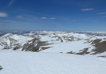 Parson Plateau provides wind-blown winter habitat that is partially snow-free.