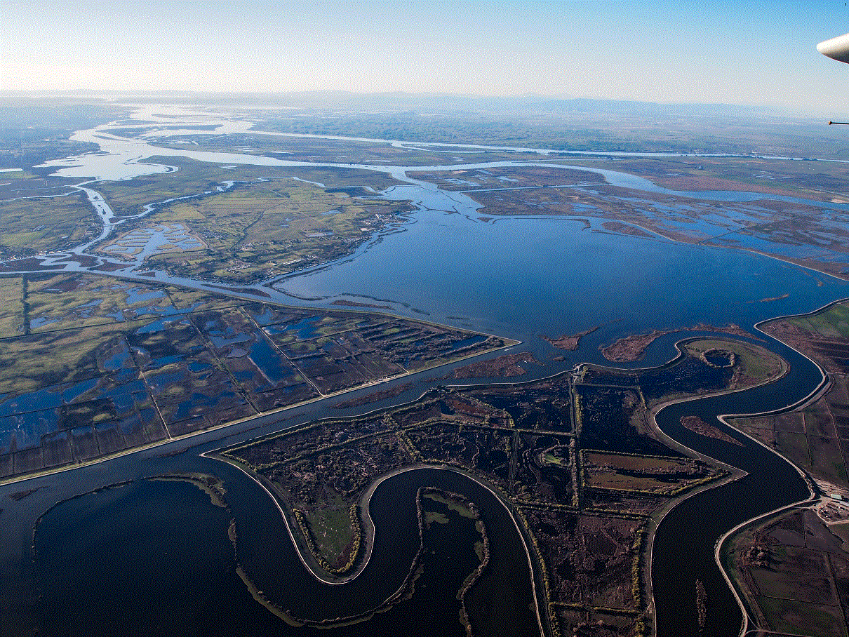 aerial view of islands in river delta