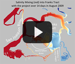 Restored Frank Tract Video - click to view video in new window