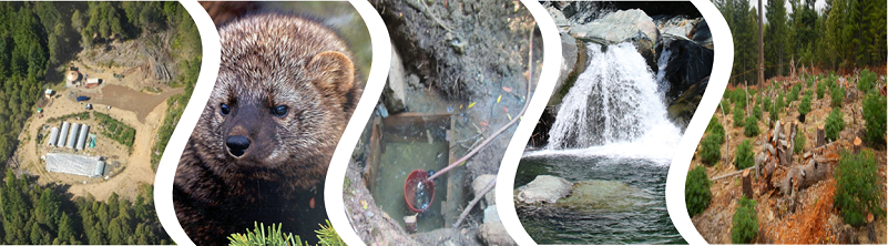 Banner Image for Program