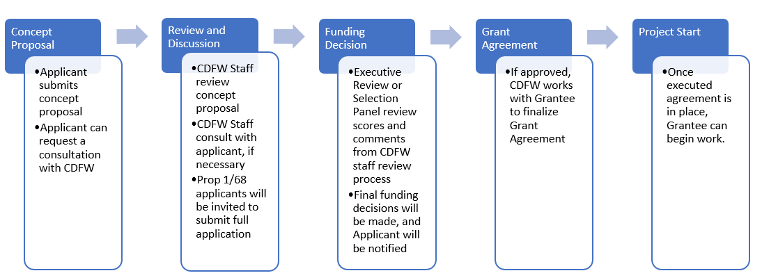 CDFW Restoration Grant Opportunities five phase application flow chart. first phase - concept proposal, where applicant submits a concept proposal. Second phase - CDFW review and discussion, CDFW staff will consult with applicant if necessary. Third phase - Funding Decision, which includes executive review or selection panel review. Funding decisions are made in this stage. fourth phase - grant agreement, once approved CDFW will work with grantee to finalize a grant agreement. Fifth phase - project start, once agreement is executed