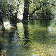 Thumbnail photo of Tuolumne River that links to Project Highlights Page