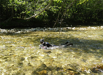 man snorkelling in shallow water