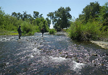 people walk through shallow creek